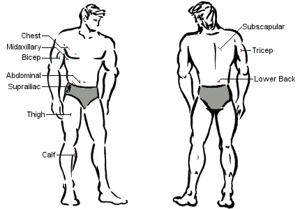 Man body fat diagram