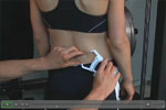 Lower Back